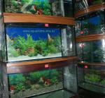 Панорамные аквариумы по 350 литров